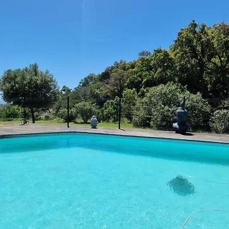 Pramousquier Loft De Charme 2 Piscines Interieure Et Exterieure 빌라
